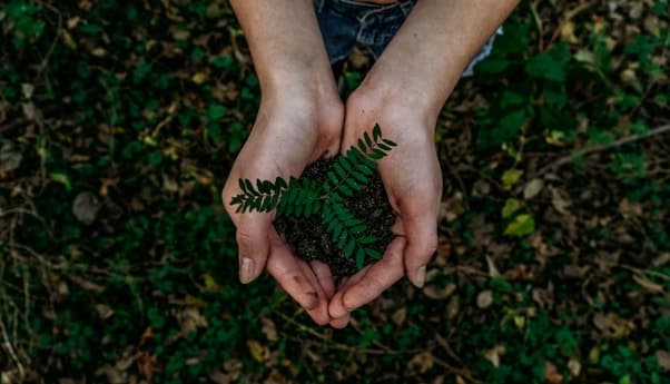 Sustainability Solutions